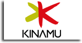 KINAMU Business Solutions AG